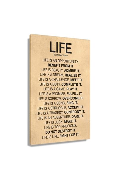 ALAYRA International قصيدة حياة ألايرا، لوحة جدارية مؤطرة، اقتباسات ملهمة، مل...