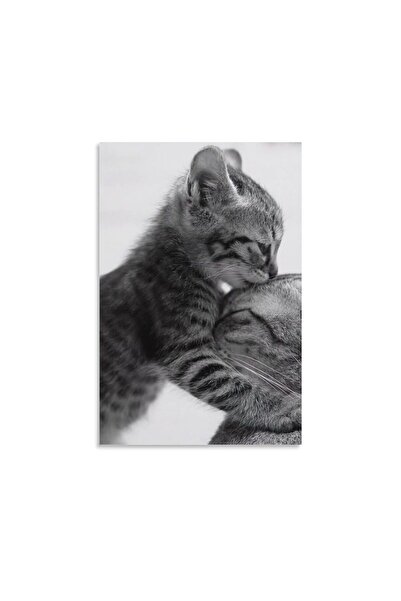 ALAYRA International ALAYRA Family Cat Poster, Black & White Art Cat Decor, A...