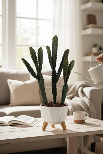 Nettenevime Yapay Kaktüs 60cm 3Köşeli 3Boy Set Zigon Saksıda Yapay Bitki