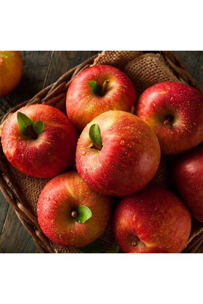 Smargat Fuji Elma Fidanı-Aşılı Açık Kök Elma Fidanı (120-150cm) Yarı Bodur El...