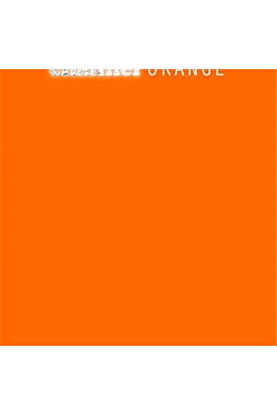 AyrStore Frank Ocean Channel Orange