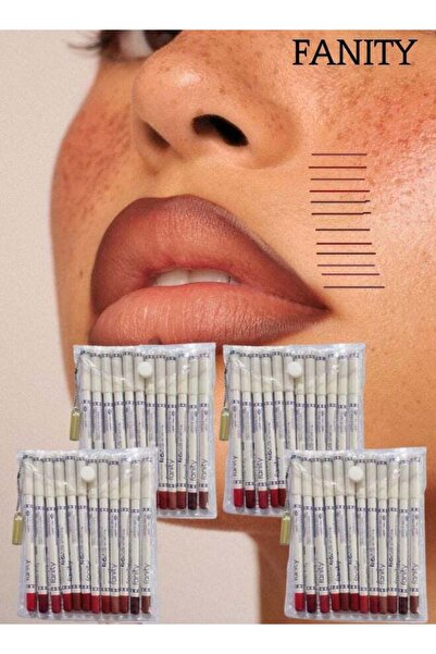 fanity مجموعة أقلام تحديد الشفاه متعددة الألوان من فانيتي، 4 قطع