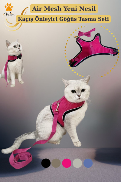 Air Mesh Yeni Nesil Kedi Köpek Göğüs Tasma Seti