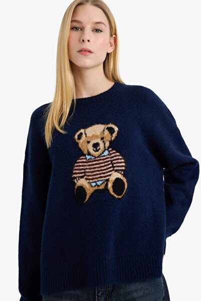 DeFacto Regular Fit Crew Neck Teddy Bear Knit Sweater G6224Ax25Wn