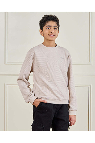 REDTAG Senior Boys Beige Solid Sweatshirt