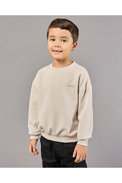 REDTAG Boys Beige Jacquard Sweatshirt