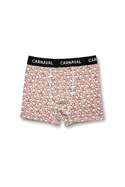 CARNAVAL SOCKS Carnaval Rabbit Patterned Premium Cotton Men's Boxer -Baby Mouth Colored