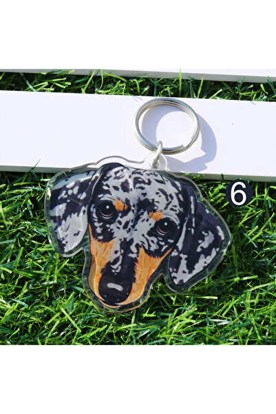 Choice 10 cm F498 1 piece acrylic cute pets dachshund dog keychain bags charm...
