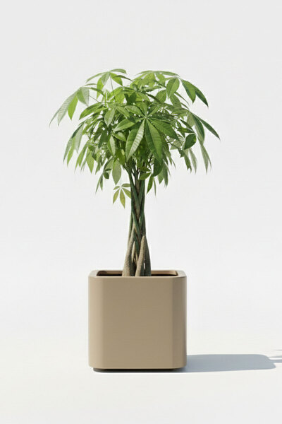 DEQQU Aura Softbox 30x35cm Fiber Soft-Küp Saksı - Mat - Büyük Saksı - Fibergl...