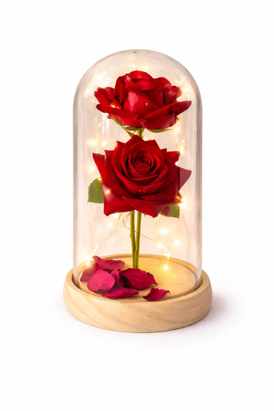 OEM DOME WITH 2 ROSES Royal Love, Romantic LED, Wooden Base, Valentine's Gift