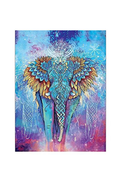 INFO NOTES Слонска бележка