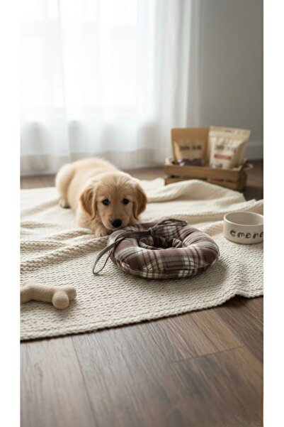 PatiPet Kedi köpek boyunluk yakalık operasyon boyunluğu kedi boyun yastığı