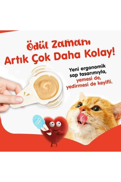 Wanpy Somonlu Kaşık Krema Kedi Ödül Maması 10x16 gr