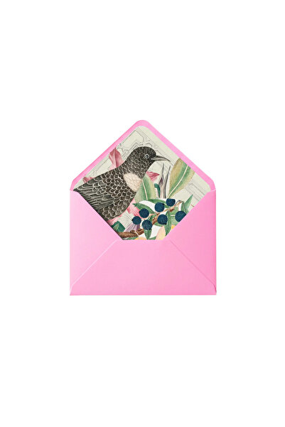 Bazen Defter Kuş Desenli Pembe Zarf