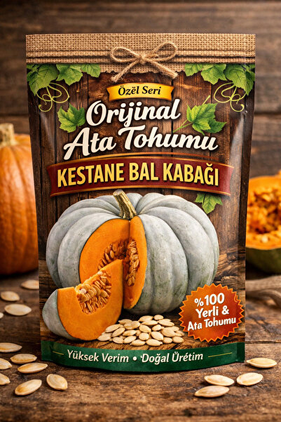 köydekiadam Bal Kabağı Kestane Ata Tohumu 10 adet