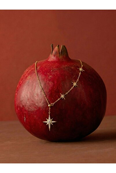 Silveria Jewels 925 Ayar Gümüş Asansörlü Kutup Yıldızı Kolye