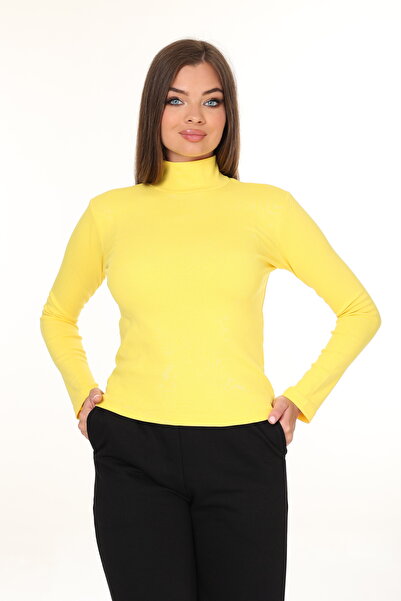 HEDEF DAİSY Women's Tops Regular Fit Classic Cut Rib Fabric Turtleneck Blouse
