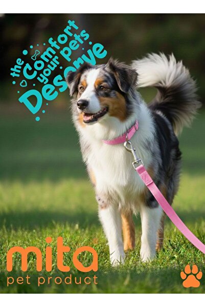 MITA طقم من قطعتين من طوق الكلب القابل للتعديل وحزام المشي باللون الوردي النيون