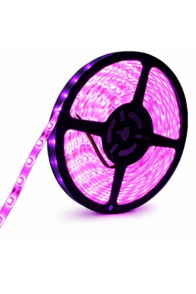 KaraköyOnline 5050 Smd 24v 60 Led/m Dış Mekan 3 Çipli Şerit Led (5 metre)