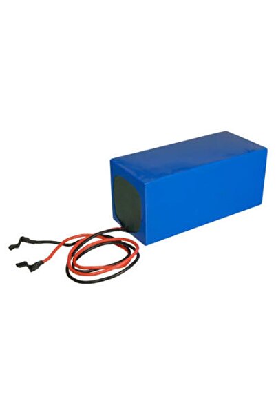 agex enerji 36 Volt 12 Ah LiFePo4 Batarya