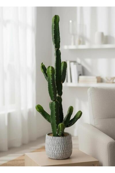Nettenevime Yapay Kaktüs Euphorbia İngens Şamdan Ağacı Beton Saksıda Yapay Bi...