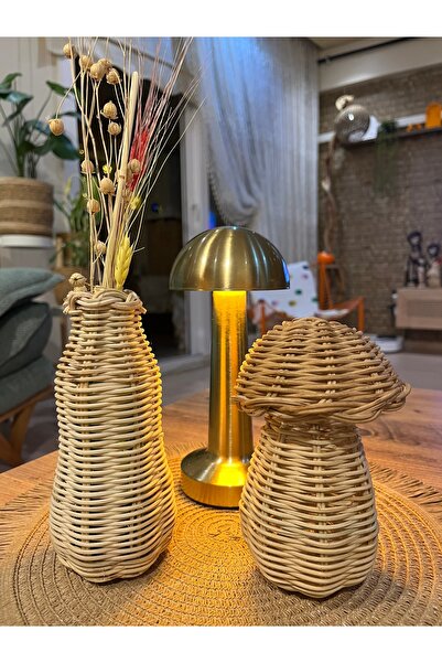 Rüya Dizayn Rattan mantar dekoratif iki parça mantar ve vazo