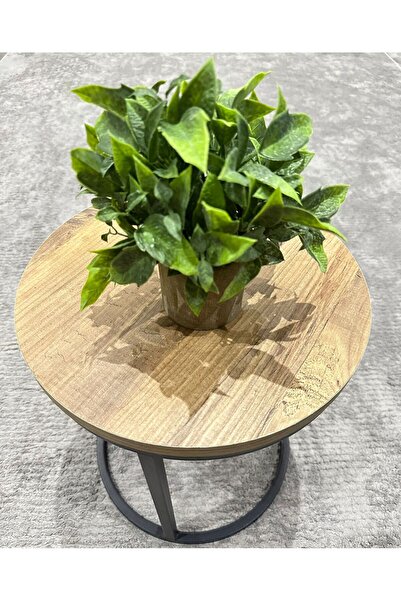 Dekoratif Eskitme Gri Saksıda Gerçekçi Yapay Yeşil Bitki - Modern Masa ve Raf Çiçeği (24x18 cm)