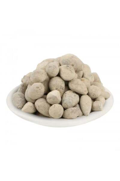 Saydat alashab Palestinian Olive Stone 100g