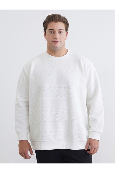 LC Waikiki Ecru Plus Size Crew Neck Men's Sweatshirt
