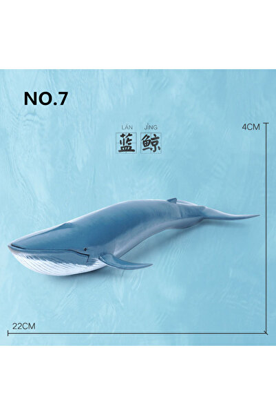 Choice9 حوت أزرق، 12 نمطًا، نموذج محاكاة للحياة البحرية، حوت قرش، حيوانات بحر...