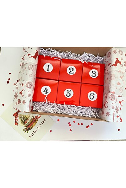 Alice Bijuteri Yılbaşı Advent Calendar ( 6 Adet Paslanmaz Çelik Takı)