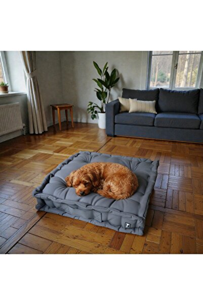 Urban Dog Bed – French Mattress / Bisküvi Minder