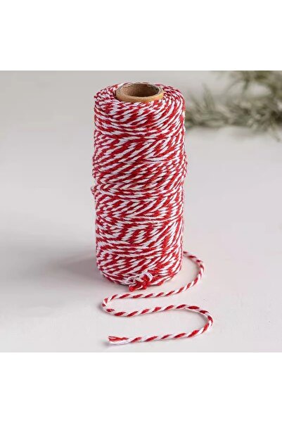 Choice1 A03-1pc 100M 2mm Natural Jute Rope String Ribbon Crafts DIY Vintage J...