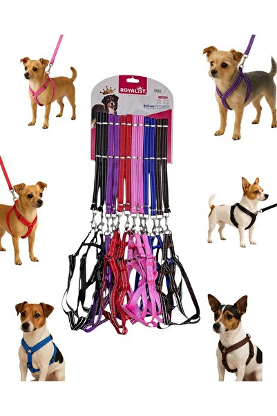 Royalist Adjustable Reflective Dog Harness – 120cm X 15mm