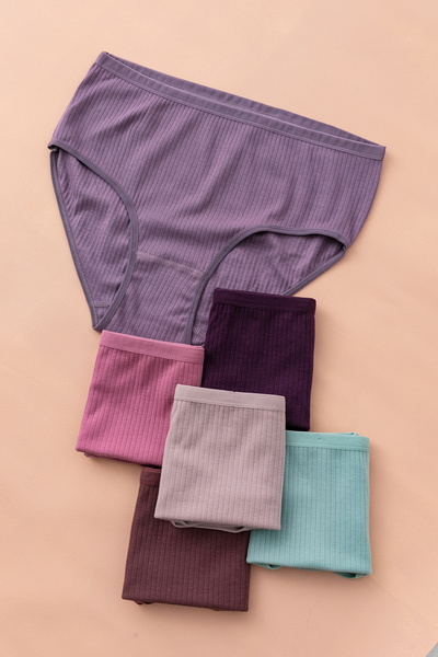 lidya lingerie Kadın 6'lı Yüksek Bel Fitilli %100 Pamuklu Külot