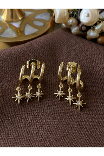 shop VIP 14K Kutup Yıldızı Sallantılı Kaburga Küpe