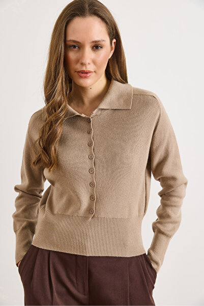 Olalook Women's Mink Polo Neck Buttoned Soft Textured Thin Knitwear Sweater Kzk-19001105