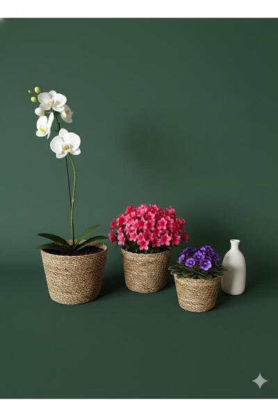 Sağlam 3 lü hasır saksı