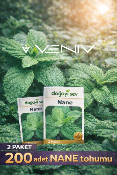 VENİV 200 Adet Nane Tohumu - 2 Paket