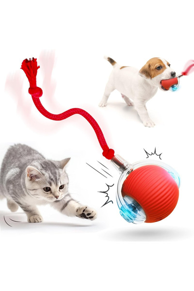 Gardenya Petshop Akıllı şarjlı top kedi ve köpek oyuncağı