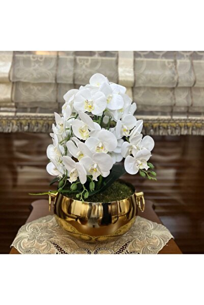 Acarya Design Gold Vazoda Islak Dokulu 6 Dallı Yapay Orkide Aranjmanı