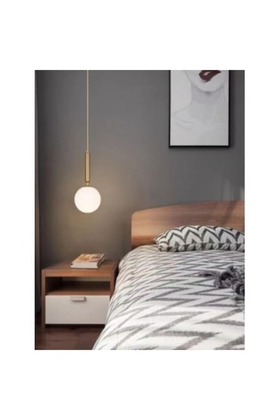 trandafi led Pendant Lamp with 1 White Matte Globe E27