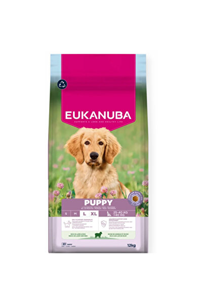 Eukanuba Puppy Large Breed, cu miel și orez 12kg