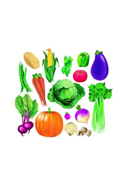 OEMN Set piese legume pentru flanelograf