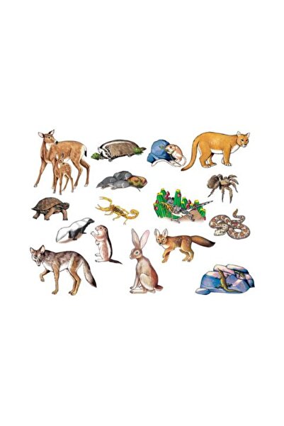 OEMN Set piese animale din desert pentru flanelograf