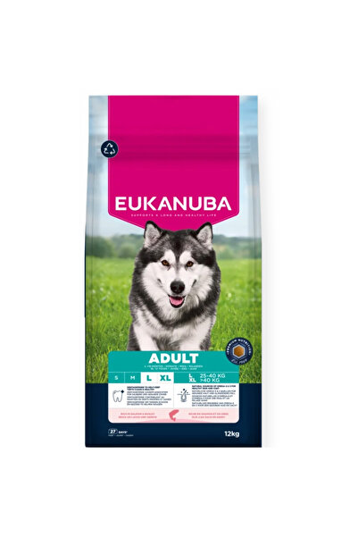 Eukanuba Hrana uscata pentru caini adulti, Adult Large Breed, cu Somon 12kg