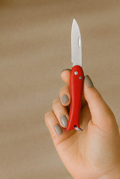 DENPRESTİJ BALIK ÇAKI KATLANABİLİR ANAHTARLIK ÇAKI BIÇAK