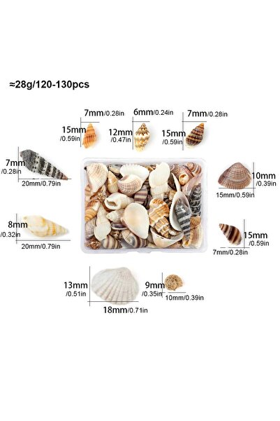 Choice1 عبوة من قطعتين، علبة واحدة من أصداف البحر الحلزونية الصغيرة، أصداف بحرية صغيرة، أعمال يدوية من أصداف البحر، زينة لأحواض السمك
