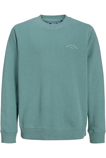Jack & Jones JACK &JONES College Logo Crew JNR sweatshirt - 12289943-Mineral ...