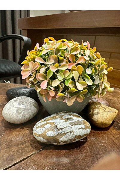 FB Cup نبات زخرفي صناعي واقعي باللون الرمادي الحديث أزرق بلون الكوبالت – 17 ×...